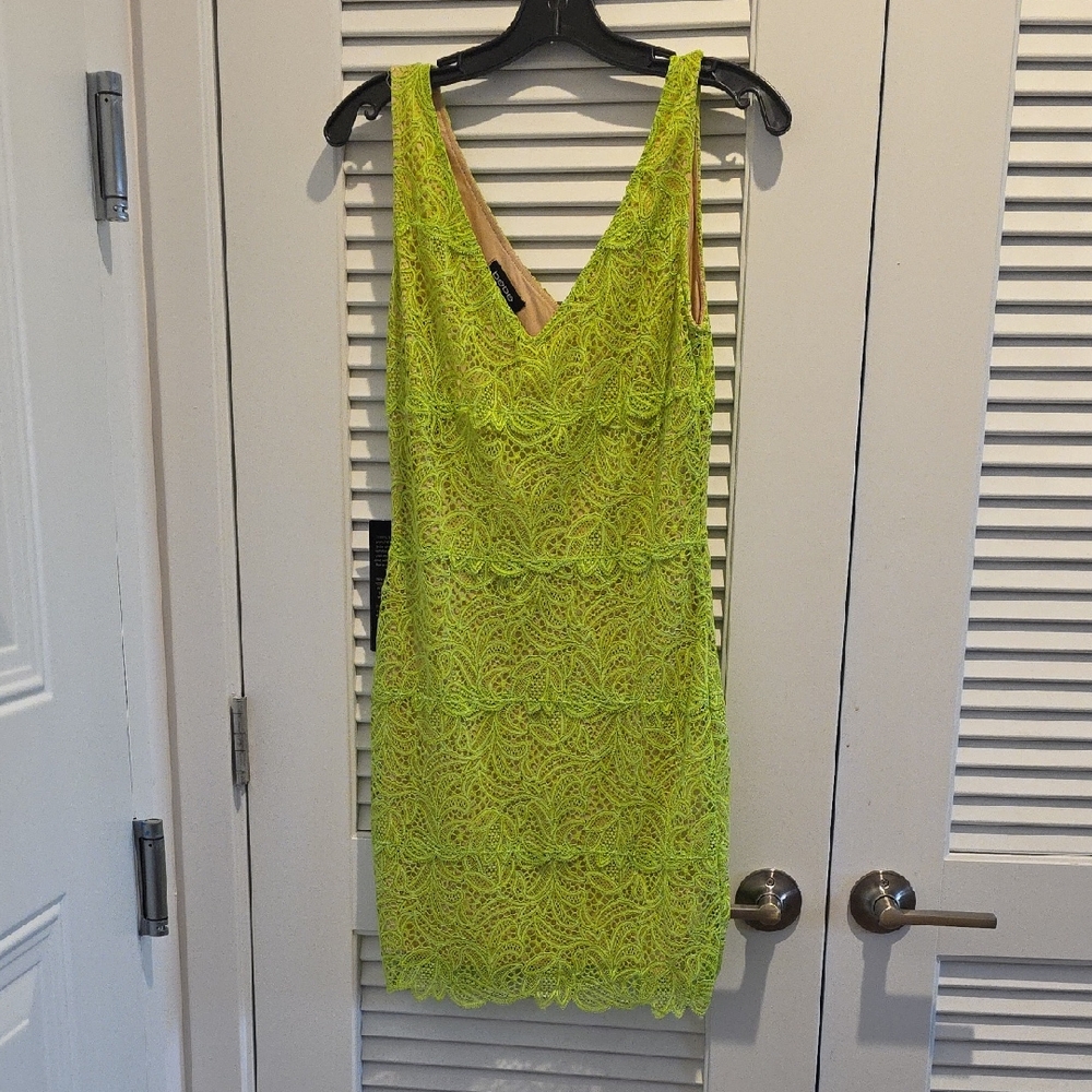 Vibrant Lace Sleeveless Dress